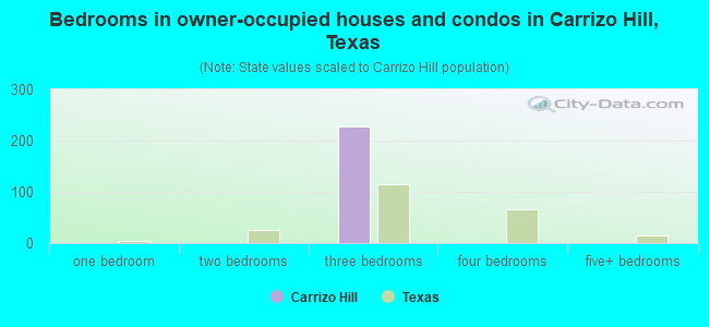 Bedrooms in owner-occupied houses and condos in Carrizo Hill, Texas
