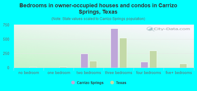 Bedrooms in owner-occupied houses and condos in Carrizo Springs, Texas