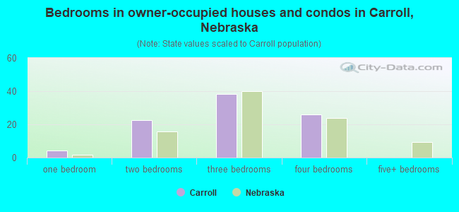 Bedrooms in owner-occupied houses and condos in Carroll, Nebraska
