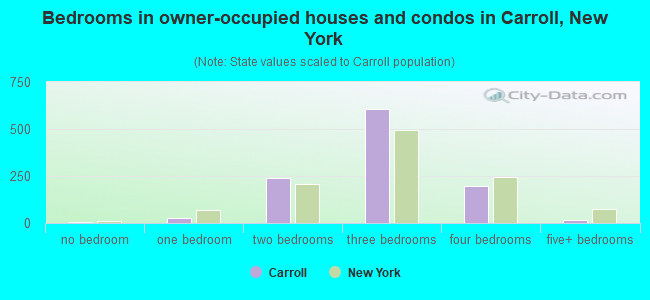Bedrooms in owner-occupied houses and condos in Carroll, New York