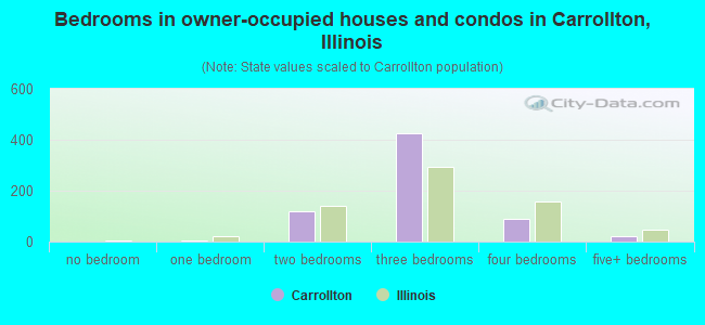 Bedrooms in owner-occupied houses and condos in Carrollton, Illinois