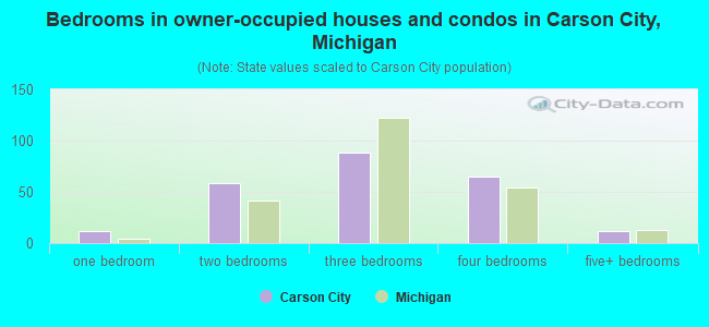 Bedrooms in owner-occupied houses and condos in Carson City, Michigan