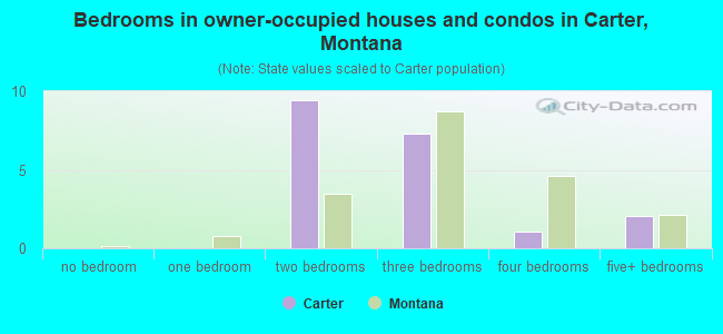 Bedrooms in owner-occupied houses and condos in Carter, Montana