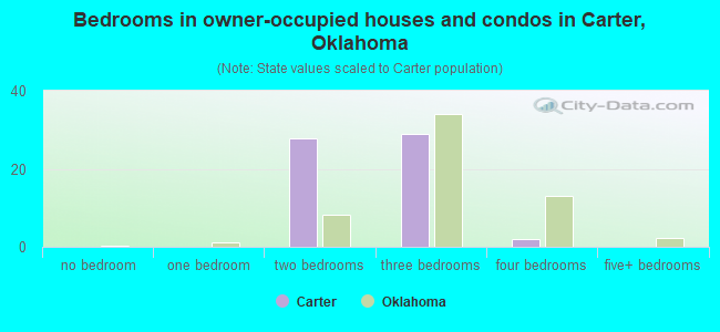 Bedrooms in owner-occupied houses and condos in Carter, Oklahoma