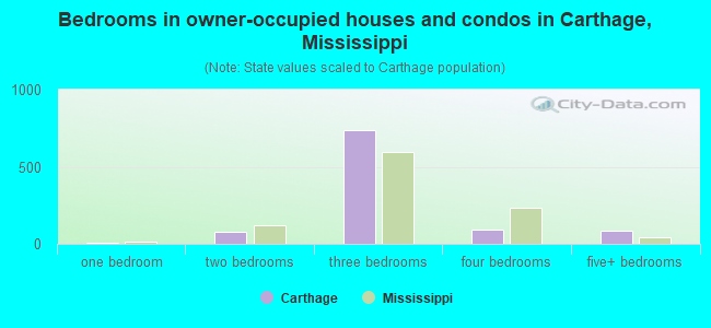 Bedrooms in owner-occupied houses and condos in Carthage, Mississippi