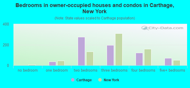 Bedrooms in owner-occupied houses and condos in Carthage, New York