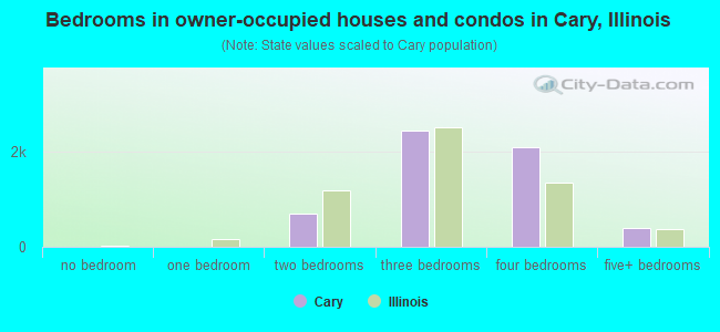 Bedrooms in owner-occupied houses and condos in Cary, Illinois