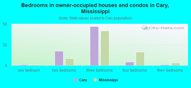 Bedrooms in owner-occupied houses and condos in Cary, Mississippi