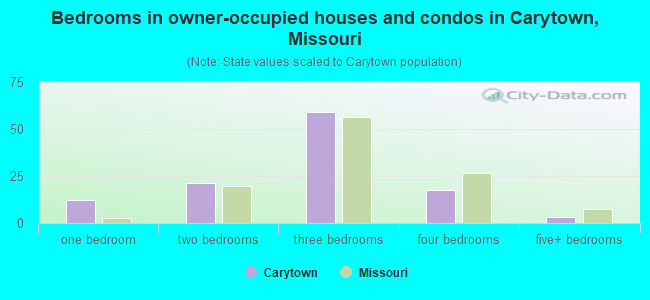 Bedrooms in owner-occupied houses and condos in Carytown, Missouri