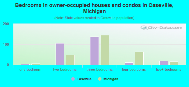 Bedrooms in owner-occupied houses and condos in Caseville, Michigan