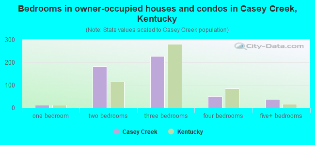 Bedrooms in owner-occupied houses and condos in Casey Creek, Kentucky