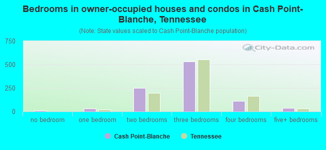 Bedrooms in owner-occupied houses and condos in Cash Point-Blanche, Tennessee