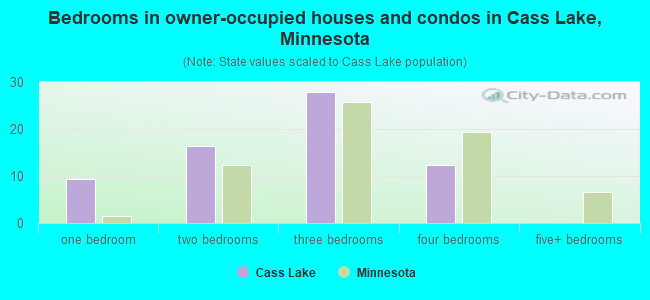 Bedrooms in owner-occupied houses and condos in Cass Lake, Minnesota