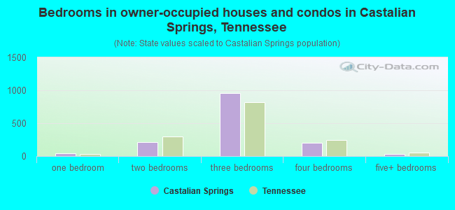 Bedrooms in owner-occupied houses and condos in Castalian Springs, Tennessee