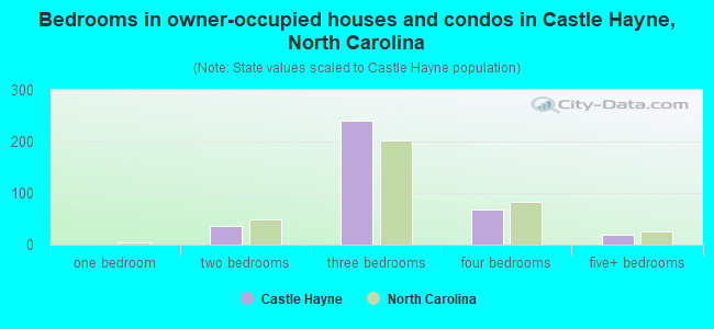 Bedrooms in owner-occupied houses and condos in Castle Hayne, North Carolina