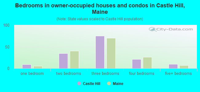 Bedrooms in owner-occupied houses and condos in Castle Hill, Maine