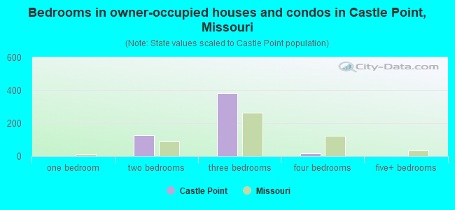 Bedrooms in owner-occupied houses and condos in Castle Point, Missouri