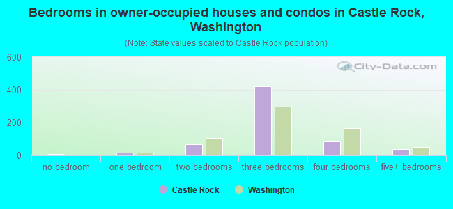 Bedrooms in owner-occupied houses and condos in Castle Rock, Washington