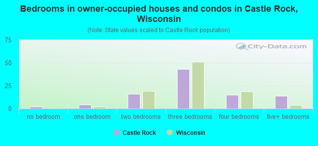 Bedrooms in owner-occupied houses and condos in Castle Rock, Wisconsin