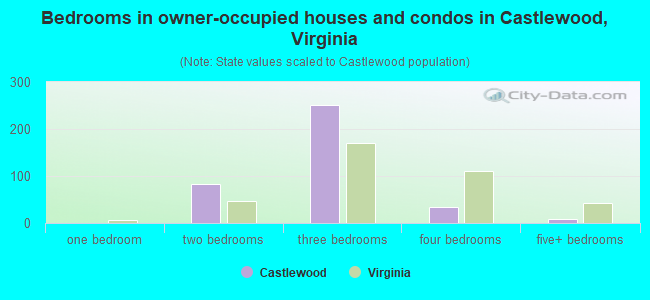 Bedrooms in owner-occupied houses and condos in Castlewood, Virginia
