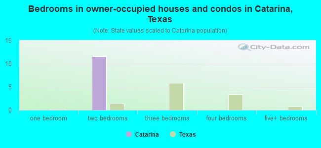 Bedrooms in owner-occupied houses and condos in Catarina, Texas