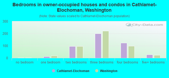 Bedrooms in owner-occupied houses and condos in Cathlamet-Elochoman, Washington