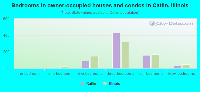 Bedrooms in owner-occupied houses and condos in Catlin, Illinois