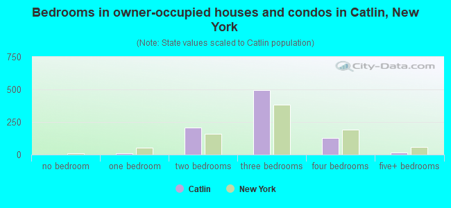 Bedrooms in owner-occupied houses and condos in Catlin, New York
