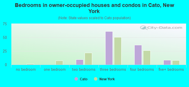 Bedrooms in owner-occupied houses and condos in Cato, New York
