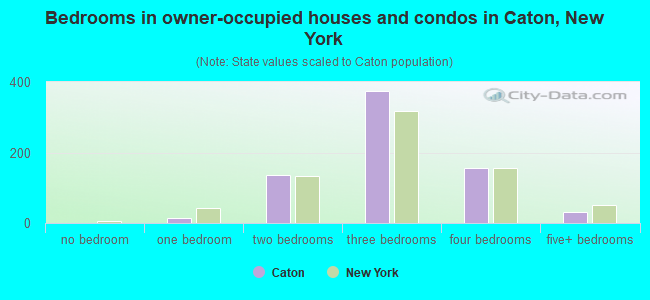 Bedrooms in owner-occupied houses and condos in Caton, New York