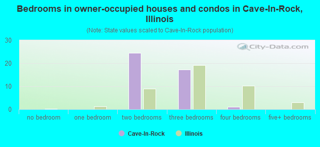 Bedrooms in owner-occupied houses and condos in Cave-In-Rock, Illinois