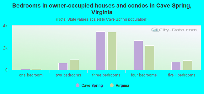 Bedrooms in owner-occupied houses and condos in Cave Spring, Virginia