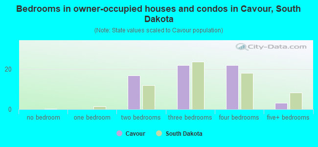 Bedrooms in owner-occupied houses and condos in Cavour, South Dakota