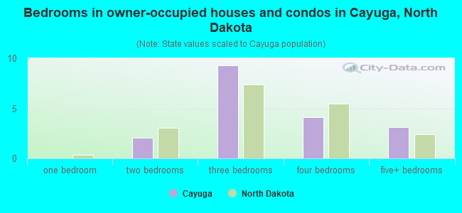 Bedrooms in owner-occupied houses and condos in Cayuga, North Dakota