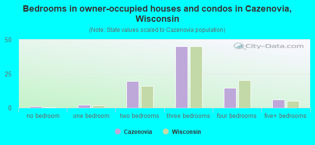 Bedrooms in owner-occupied houses and condos in Cazenovia, Wisconsin
