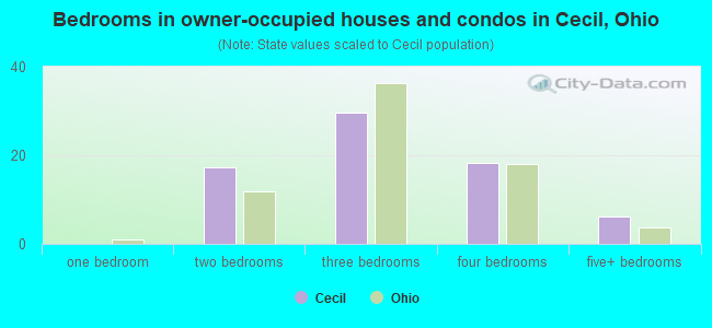 Bedrooms in owner-occupied houses and condos in Cecil, Ohio