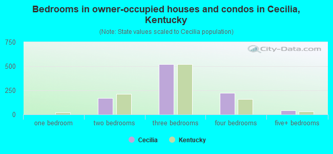 Bedrooms in owner-occupied houses and condos in Cecilia, Kentucky