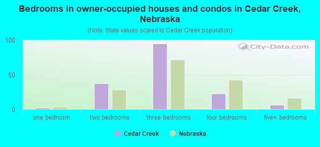 Bedrooms in owner-occupied houses and condos in Cedar Creek, Nebraska