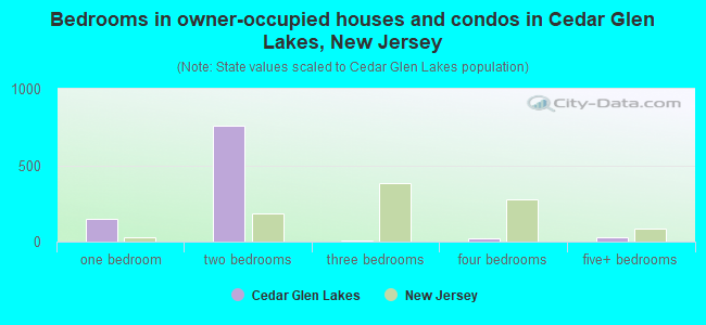 Bedrooms in owner-occupied houses and condos in Cedar Glen Lakes, New Jersey