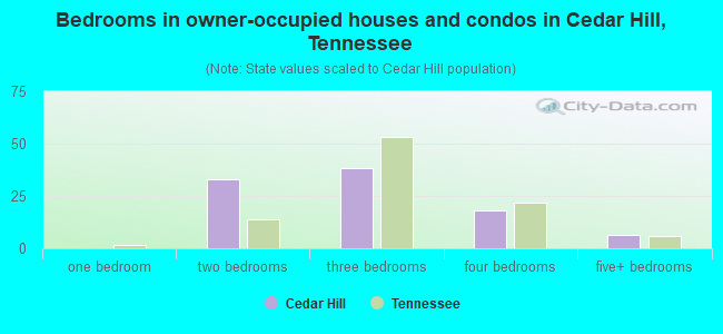 Bedrooms in owner-occupied houses and condos in Cedar Hill, Tennessee