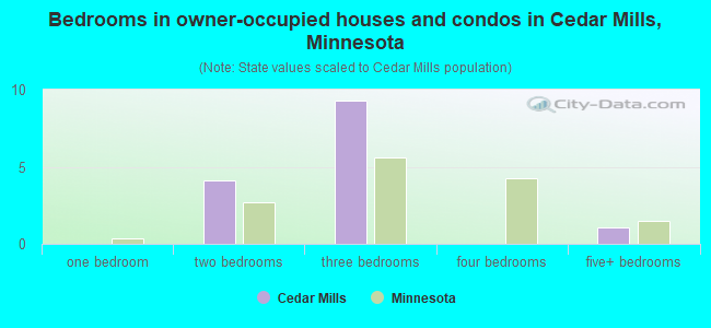 Bedrooms in owner-occupied houses and condos in Cedar Mills, Minnesota