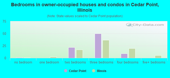 Bedrooms in owner-occupied houses and condos in Cedar Point, Illinois