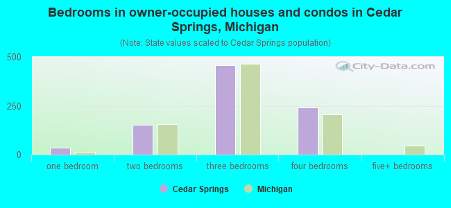 Bedrooms in owner-occupied houses and condos in Cedar Springs, Michigan