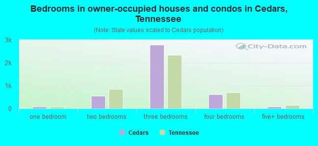 Bedrooms in owner-occupied houses and condos in Cedars, Tennessee