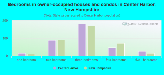 Bedrooms in owner-occupied houses and condos in Center Harbor, New Hampshire
