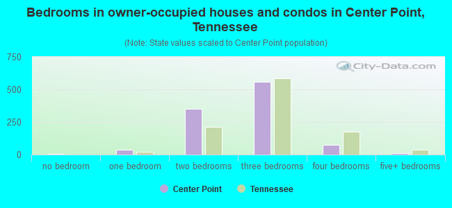 Bedrooms in owner-occupied houses and condos in Center Point, Tennessee