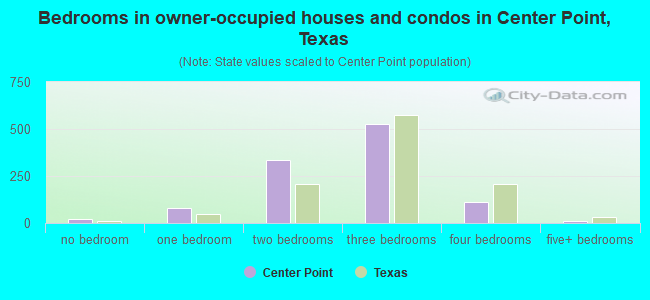 Bedrooms in owner-occupied houses and condos in Center Point, Texas