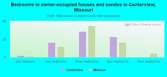 Bedrooms in owner-occupied houses and condos in Centerview, Missouri