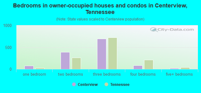 Bedrooms in owner-occupied houses and condos in Centerview, Tennessee