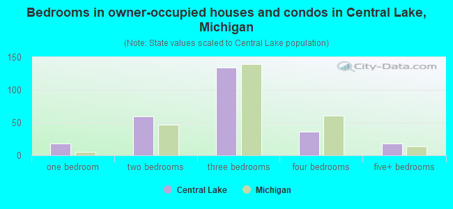 Bedrooms in owner-occupied houses and condos in Central Lake, Michigan